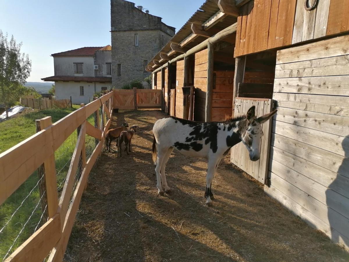 Villa Les Hauts Vallons Puylaroque Екстериор снимка