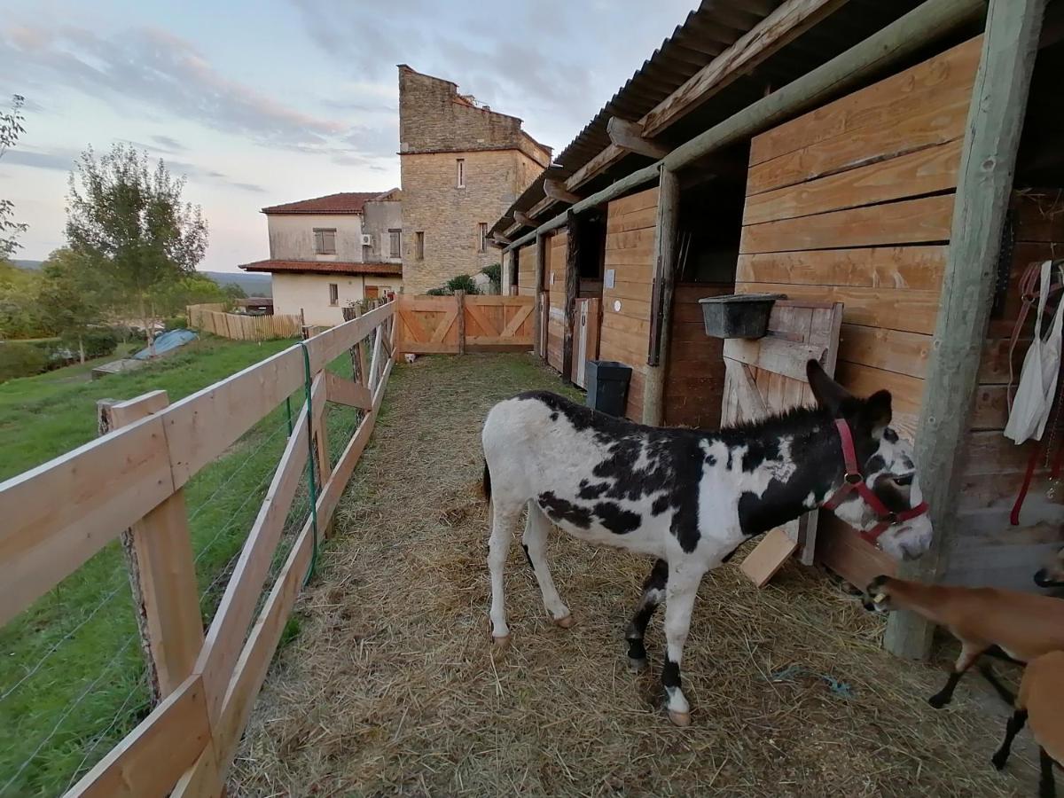 Villa Les Hauts Vallons Puylaroque Екстериор снимка