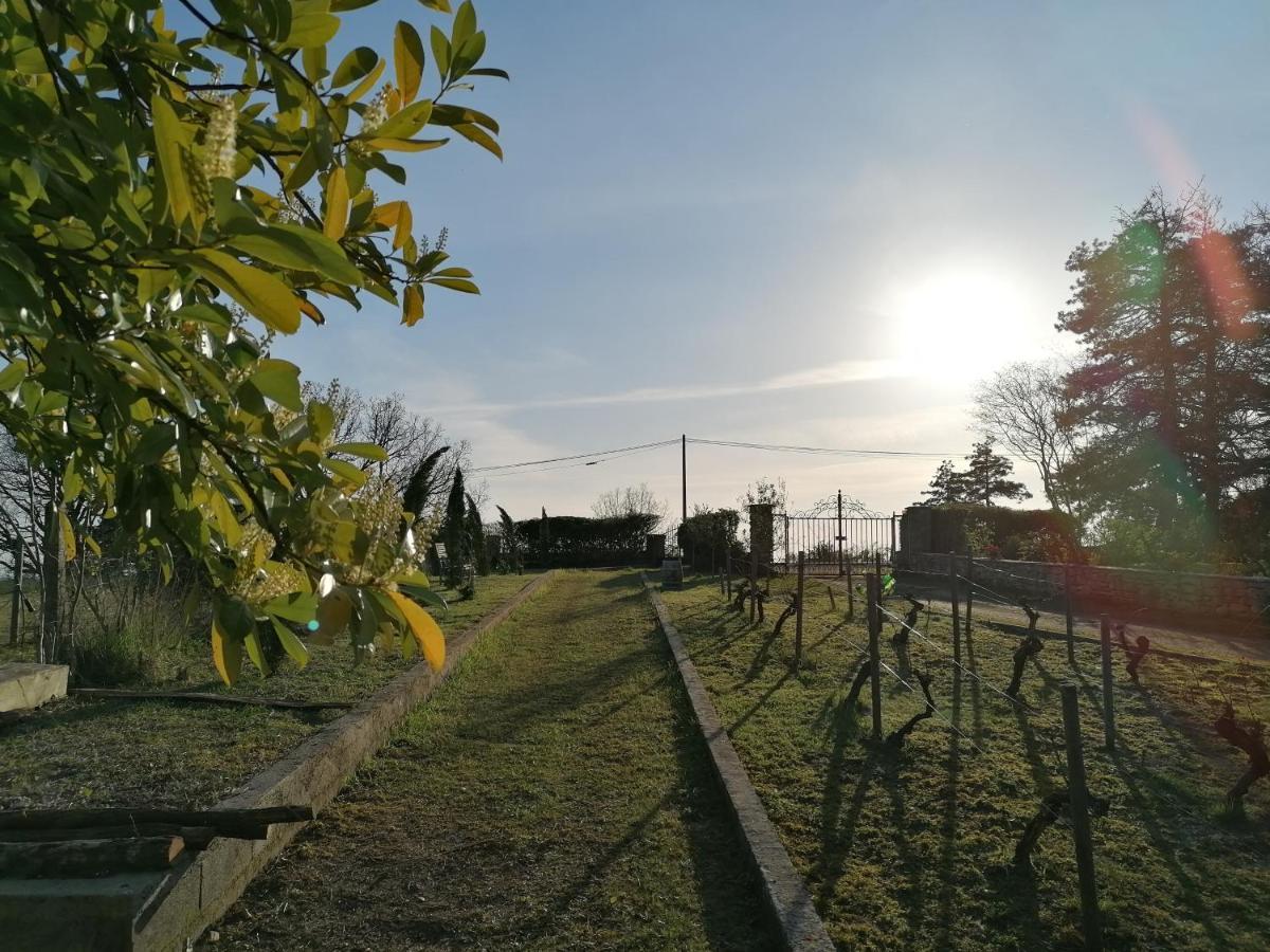Villa Les Hauts Vallons Puylaroque Екстериор снимка